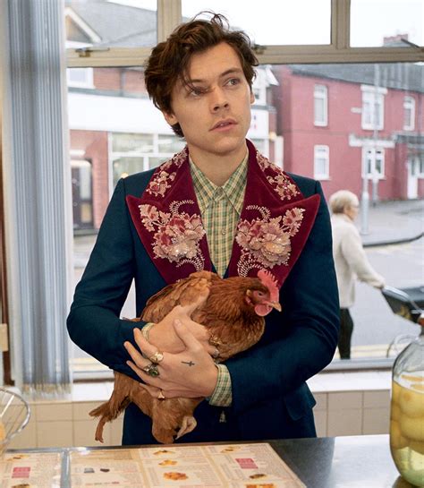 gucci harry styles tailoring|harry styles gucci looks.